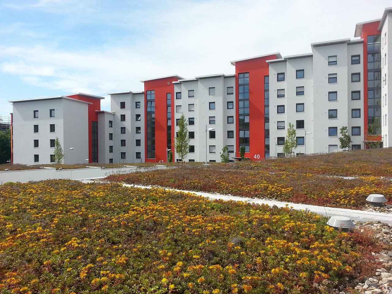 Flachdachsanierung mit Dachbegrünung